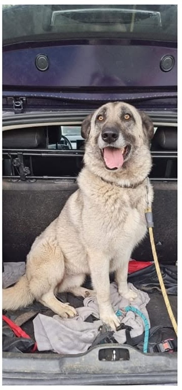 Xena