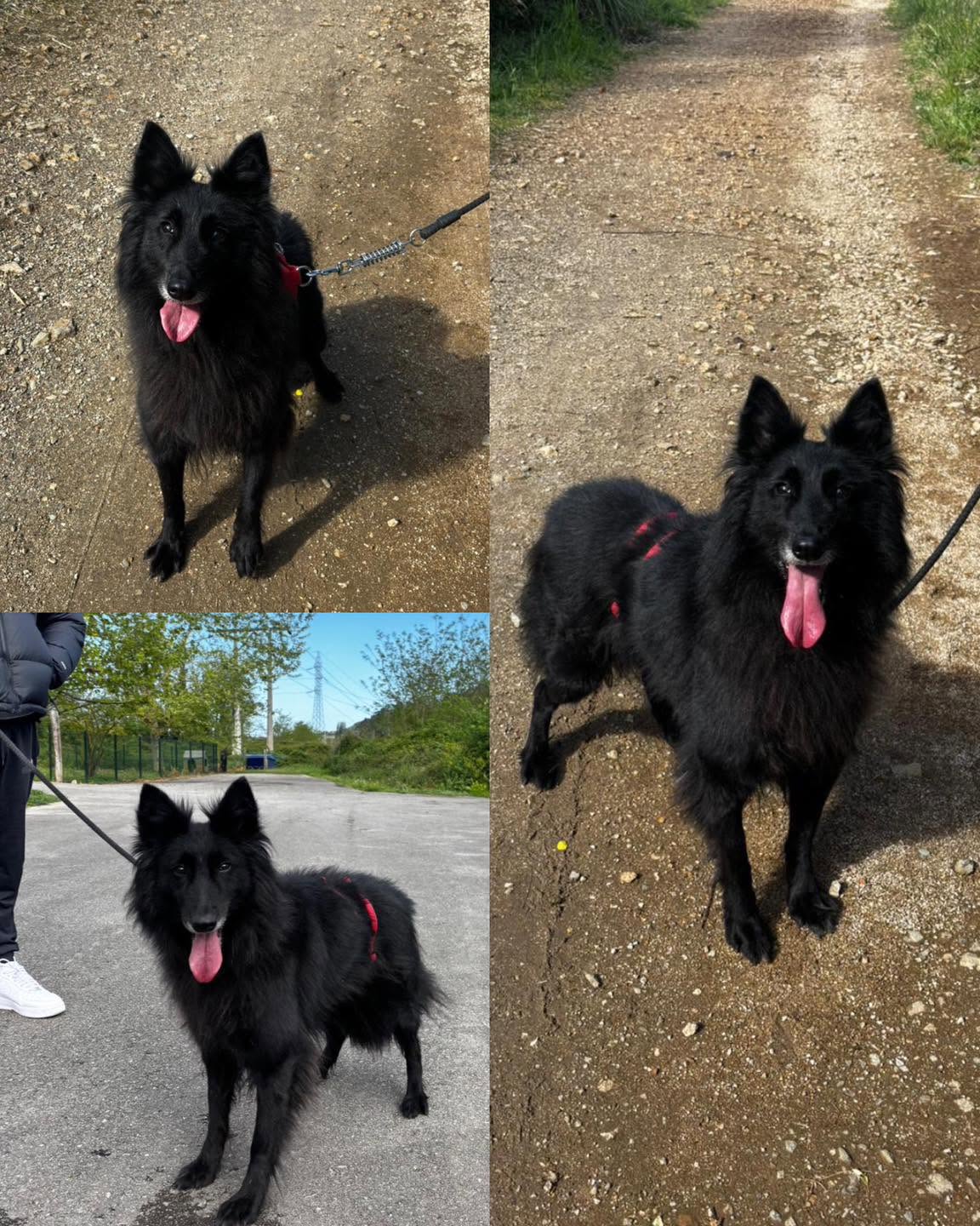 Xena