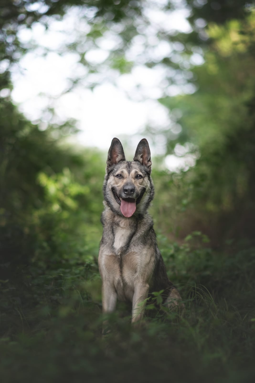 Skye